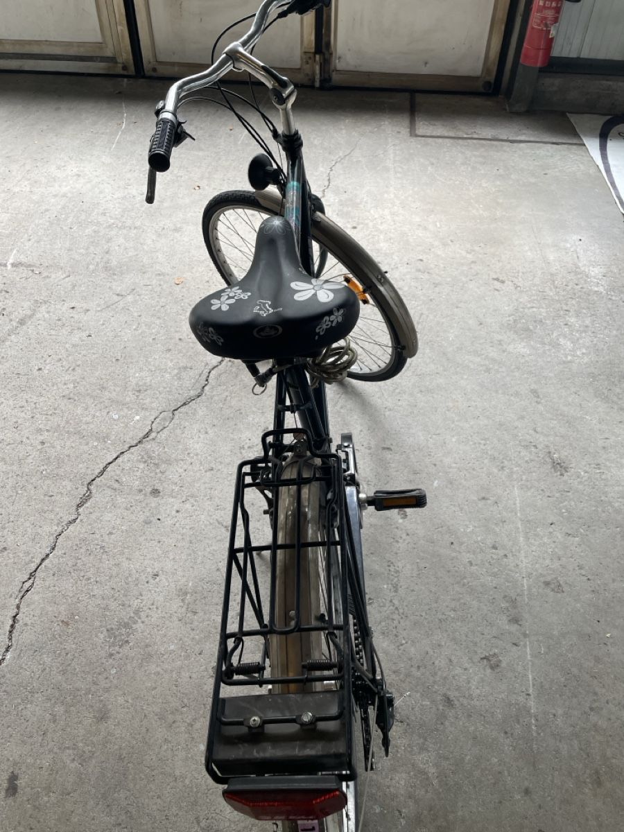 Biciclette: Herrn Velo – Usato da Niederstocken venduto da triumph_tr6 4