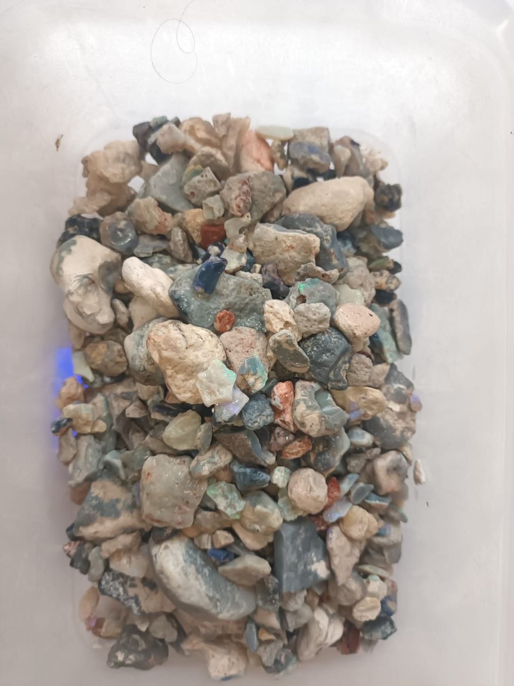 Pietre preziose: Lightning Ridge Opal Rough Parcel – 4,000 ct – Nuovo (secondo la descrizione) da zuerich venduto da Jewlsdesign 7