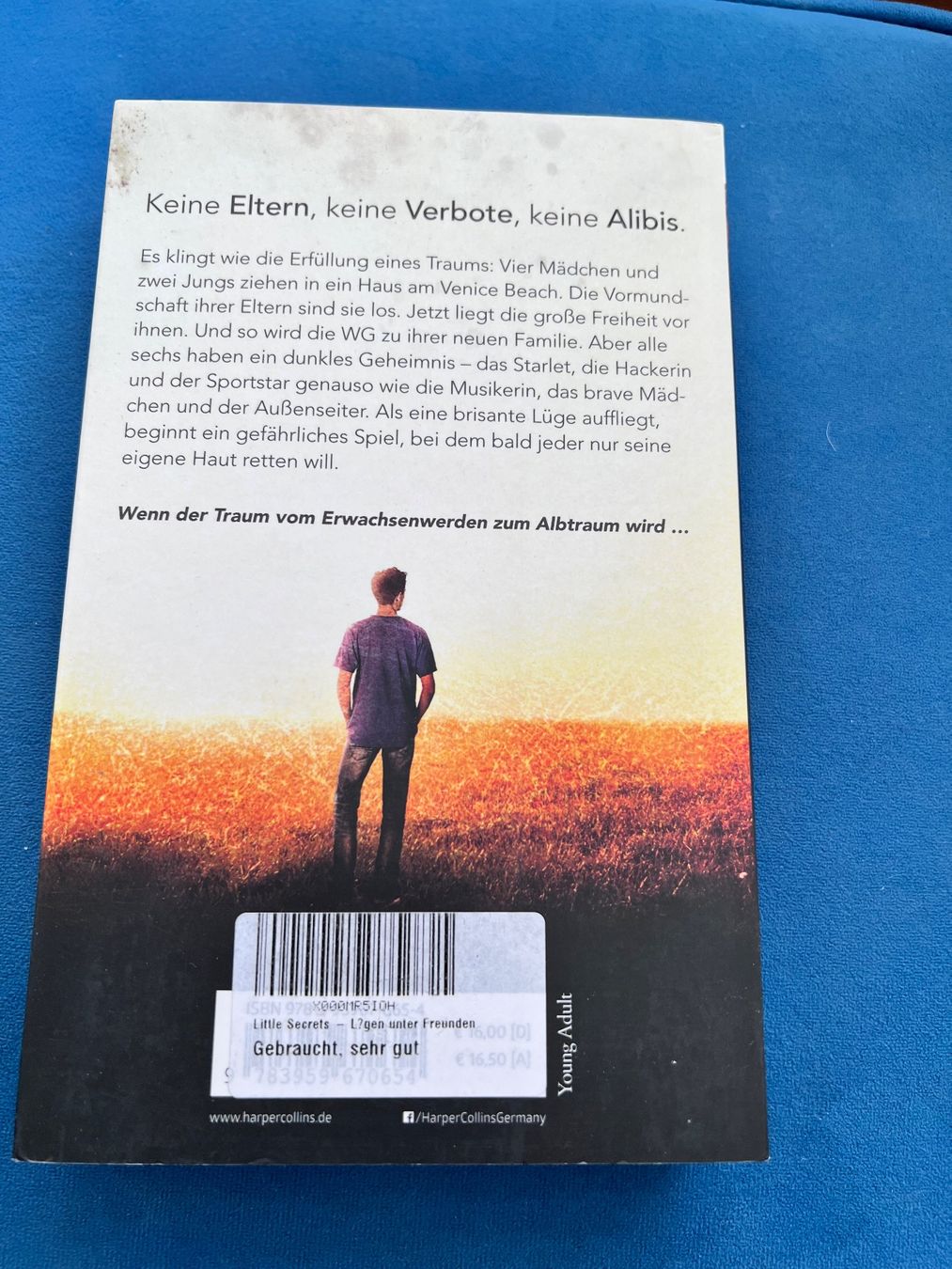 Libri: Buch - little secrets - roman – Usato da Effretikon venduto da YaMn 1