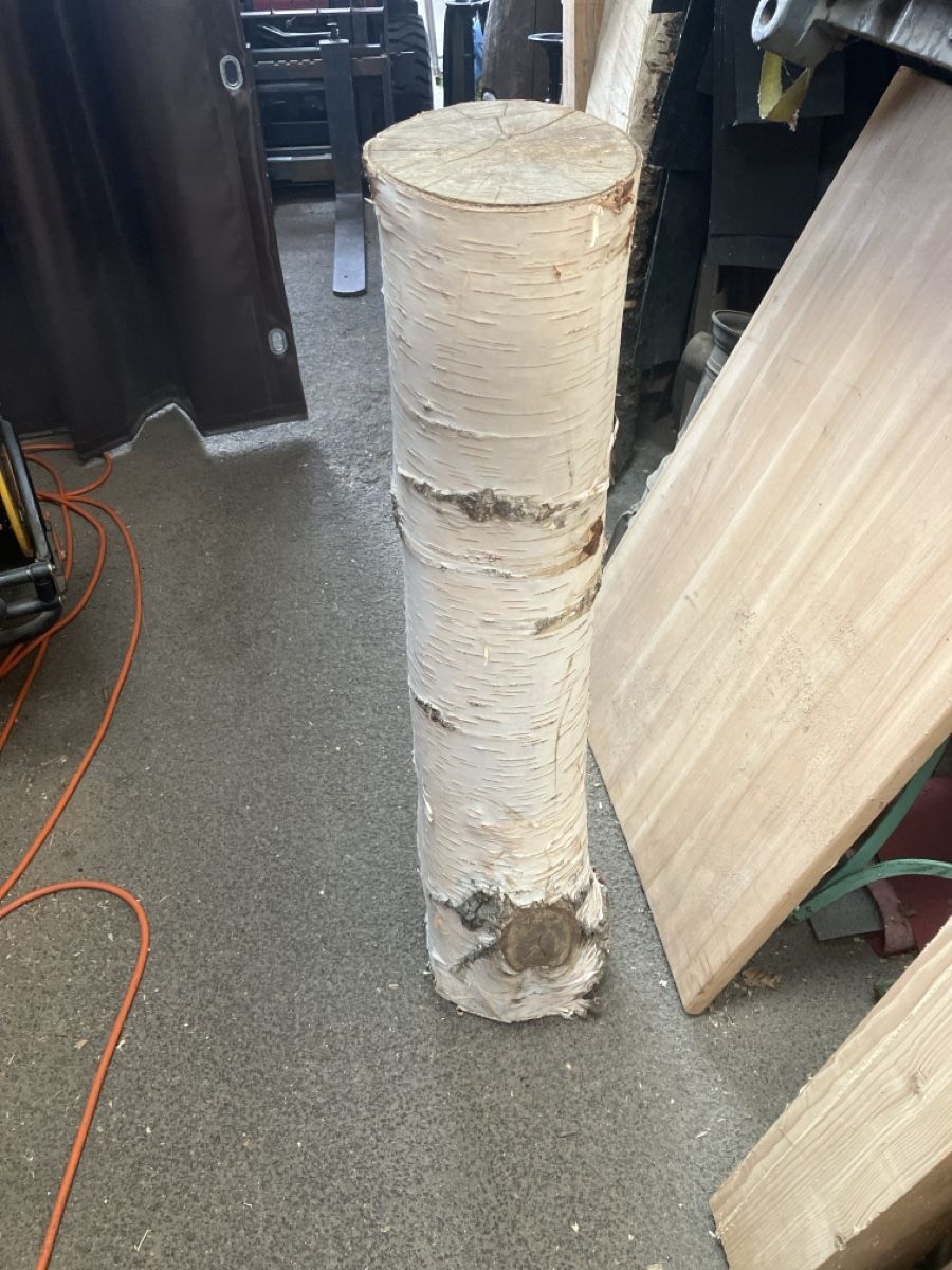 Articoli in legno: Birkenstamm – Nuovo (secondo la descrizione) da Burg AG venduto da ala_cx8x