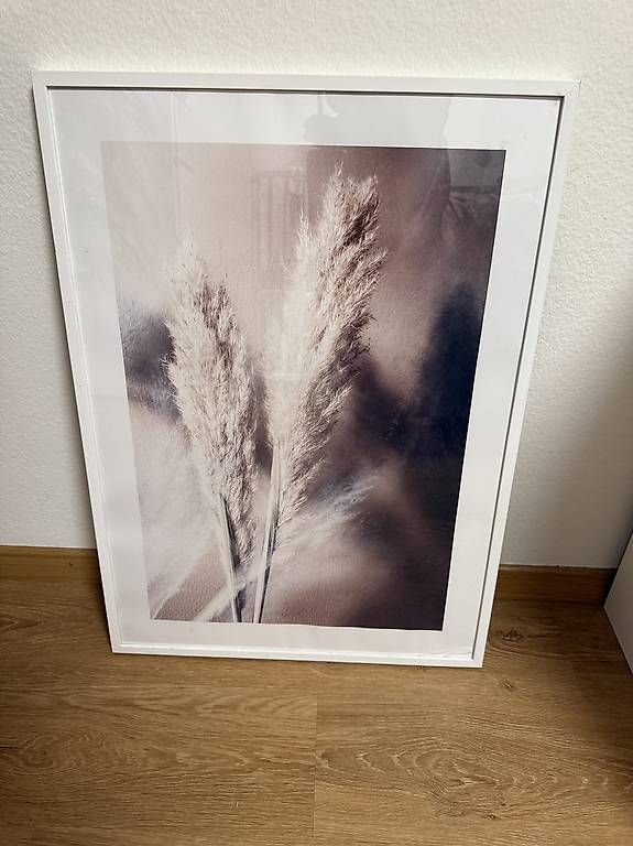 Posters & Illustrations: Gerahmte Wandbilder im Set – D'occasion à Winterthur par fij_f65r 3