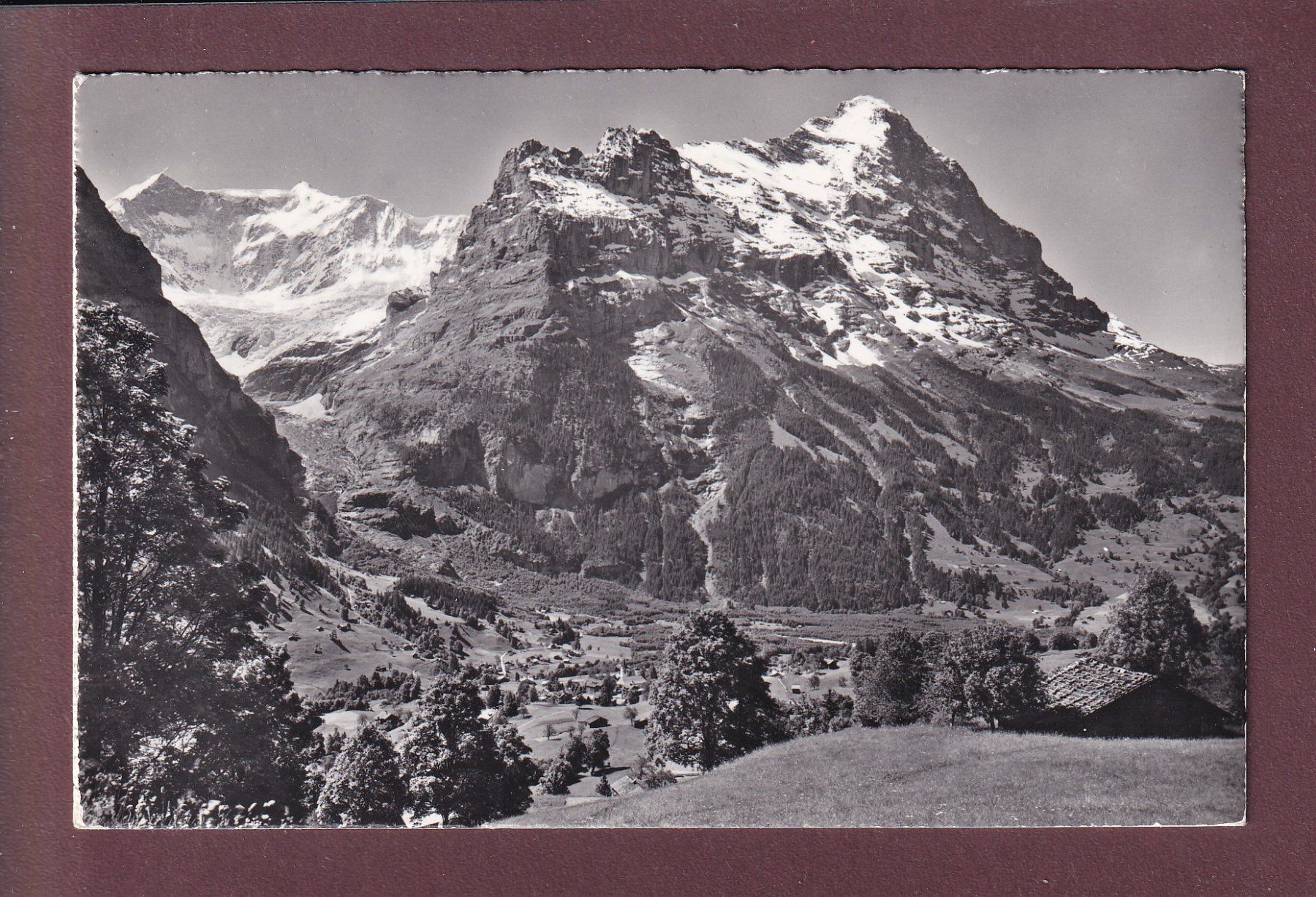 Cartoline postali: GRINDELWALD - Eiger - Fiescherwand - 1962 – Usato da Pully venduto da nicecards