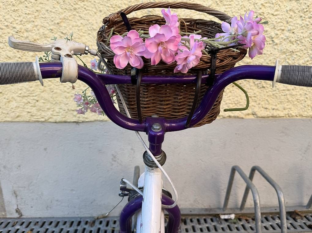 Vélos: Mädchen Lernvelo  – D'occasion à Hallau par KreativeMamaLehrerin 3