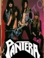 Pantera Blechschild Metal Rock Band