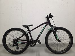 Kindervelo Orbea MX 24 XC - Frisch ab Service