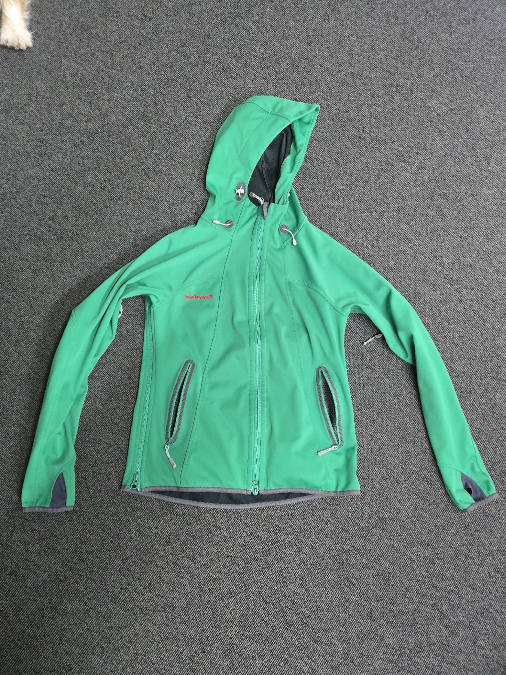 Mammut Giacche: Mammut Softshelljacke, Grün, Gr. S – Usato da Beinwil am See venduto da FLXV