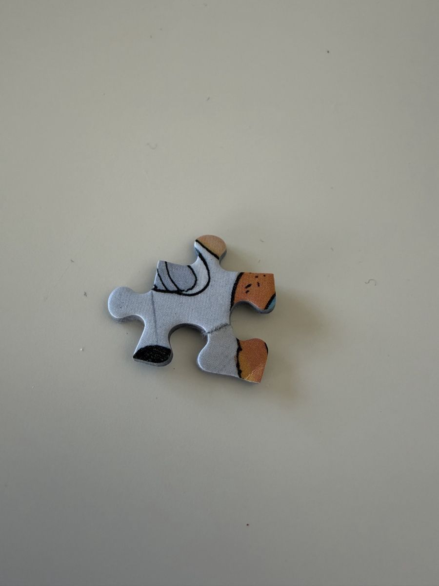 Puzzle: Puzzle Jan van Haasteren 1000 pièces - Faites la queue ! – Usato da Nyon venduto da Alex017 5