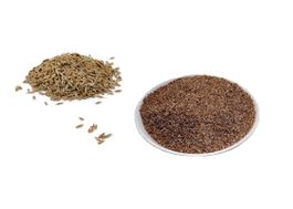 Dacante Kümmel gebrochen 500 g