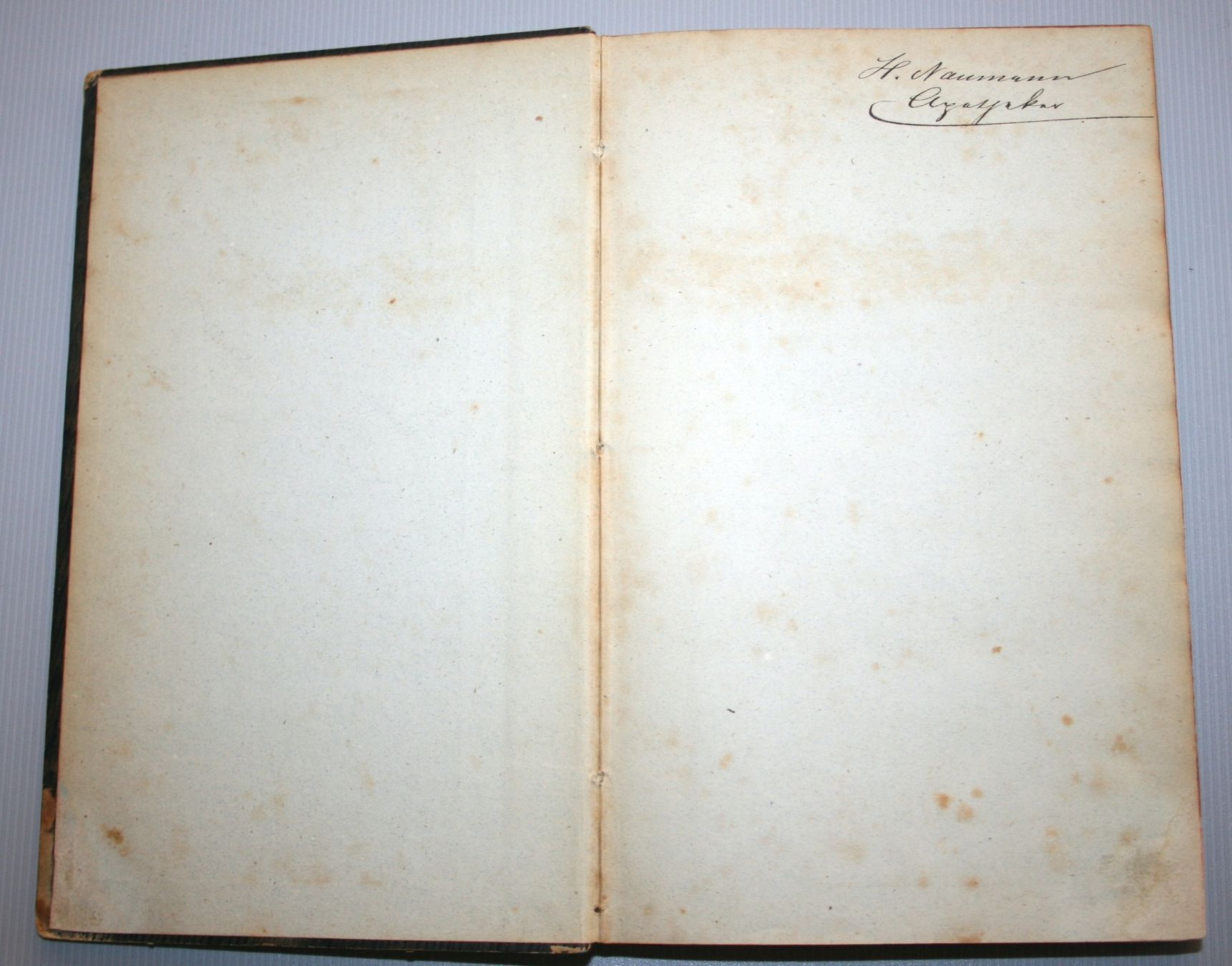 Libri: Gorup-Besanez: Zoochemische Analyse, Holzschnitte, 1854 – Usato da Schaffhausen venduto da Kartenprofi 1