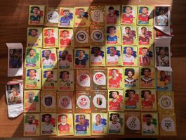55 Panini WM 2026 Sticker