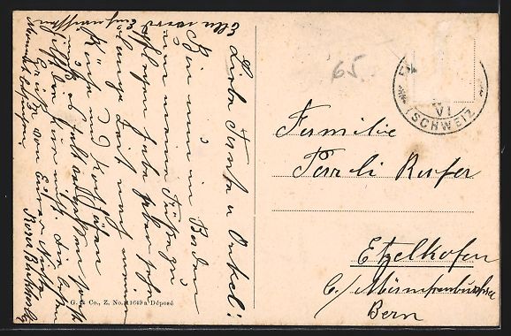 Cartoline postali: Baden, Anstalt Freihof mit Kutsche – Usato da Berlin venduto da bartko-reher 1
