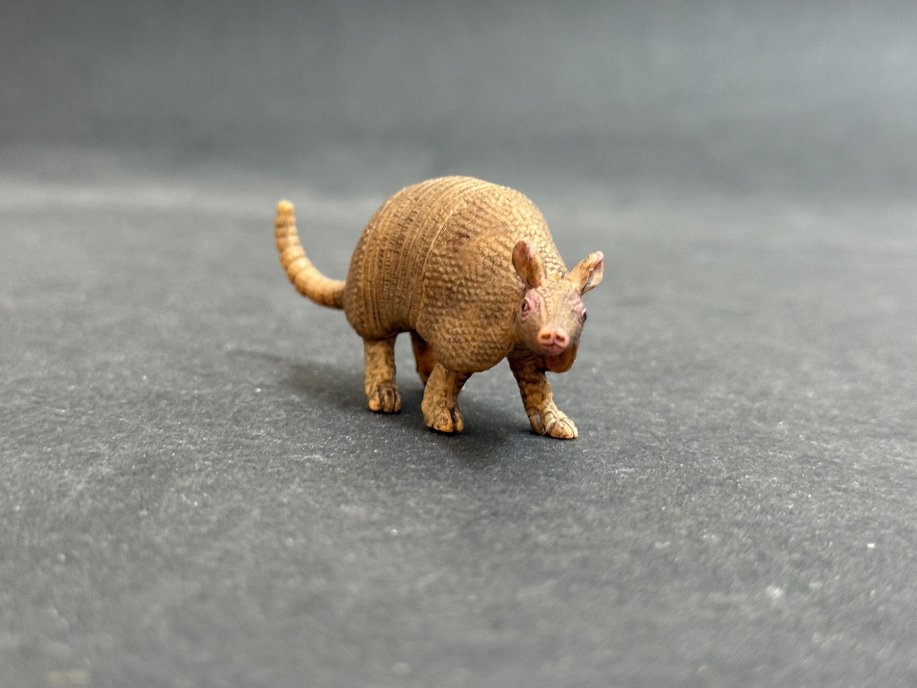 Schleich Figuren: schleich® 14874 Gürteltier – Gebraucht aus Ennetbaden von mapa05 3