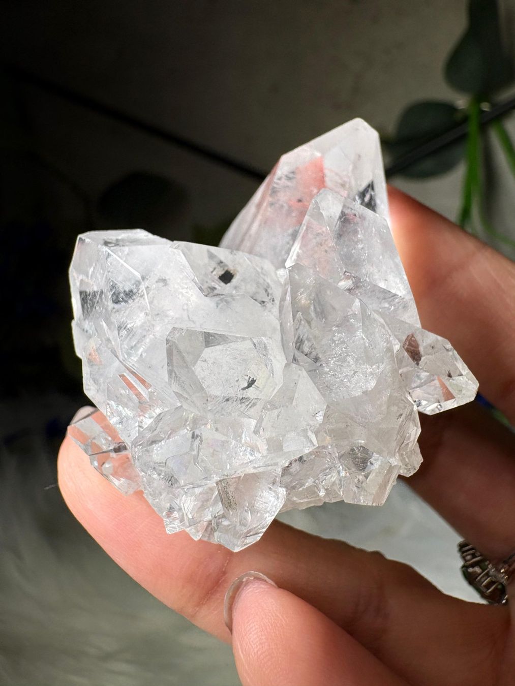 Minéraux & Lithothérapie: Apophyllit – Neuf avec emballage d'origine à Neuheim par m.hald 3