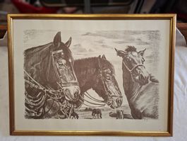 Original Kunswerck Zeichnung Signiert