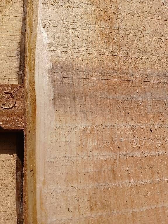 Articoli in legno: Ahorn bretter – Nuovo (secondo la descrizione) da Willisau venduto da wood1988 4