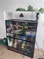 Terrarium  100x45x140 cm