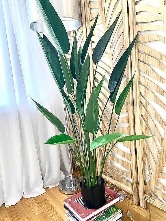 Piante & sementi: Pianta artificiale Altezza 127cm larghezza vaso 14 cm – Usato da Lugano venduto da dir_5287 1