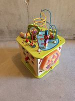 Motorikwürfel von Hape - alles dabei