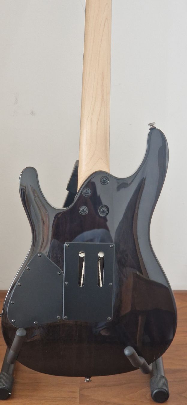 Ibanez Strumenti musicali: Ibanez S Series – Usato da Rafz venduto da FANDRI 5