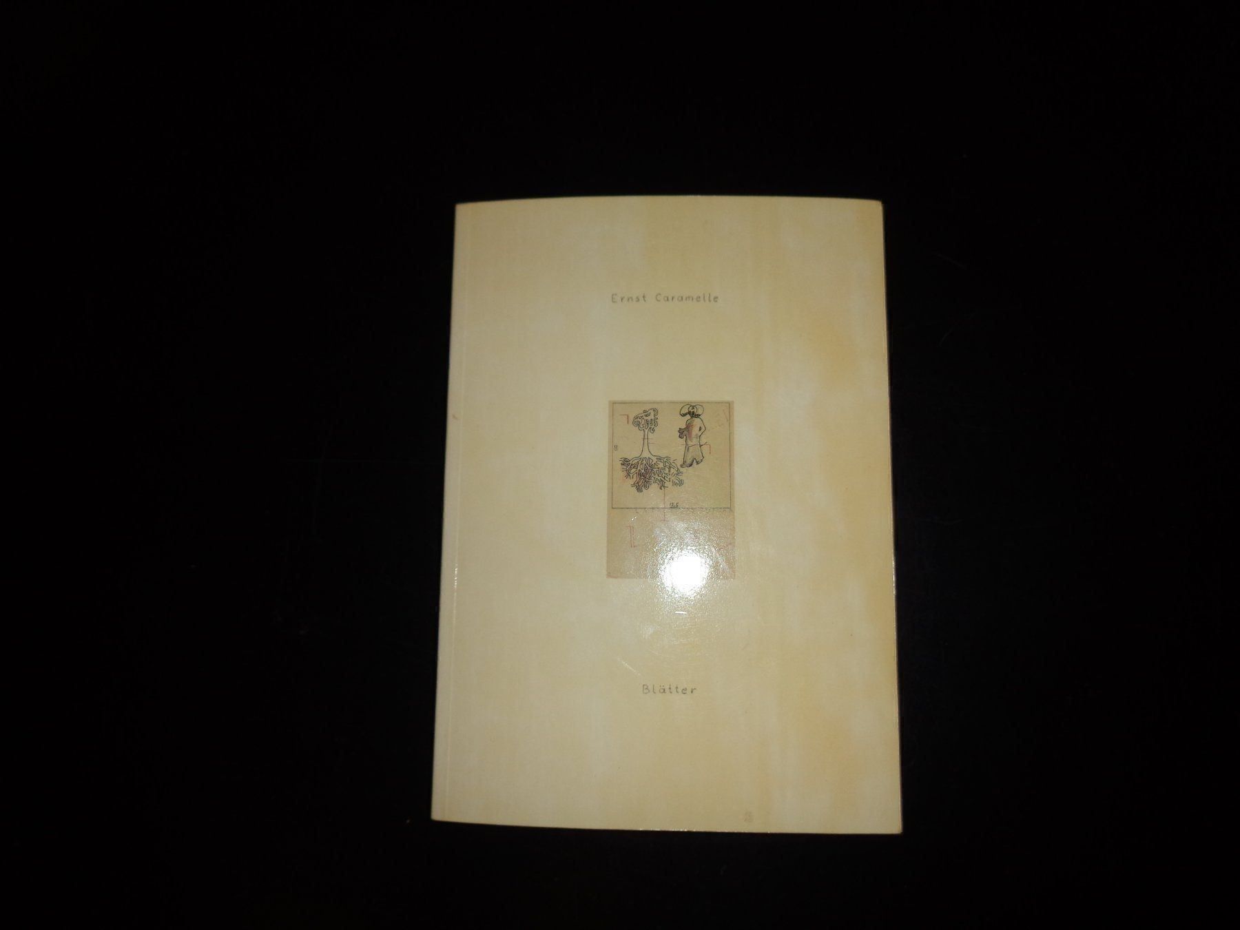 Livres: Ernst Caramelle kunst mit Schuber – D'occasion à Welschenrohr par Regool 5