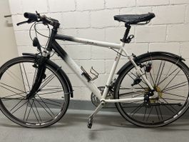 Damenvelo Fitness Bike by TCM