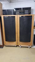 Martin Logan Elektrostaten Paar