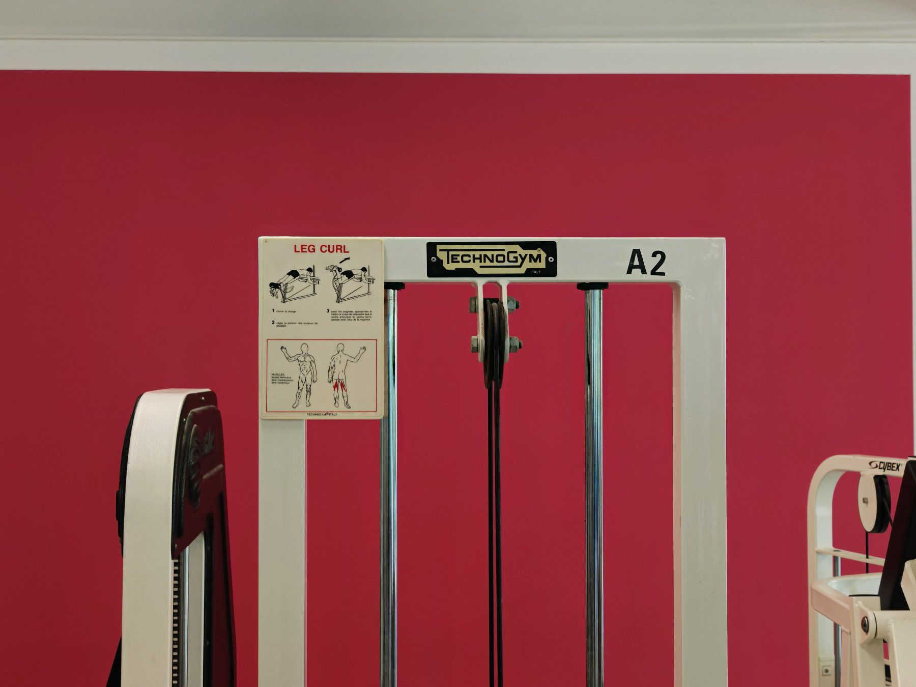 Technogym Hometrainer: Technogym Leg Curl (Beinbeuger liegend) – Usato da Bern venduto da Sudowudo 1