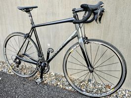 VOTEC VR Comp Rennrad – XXL –Wie neu  velo bike rennvelo