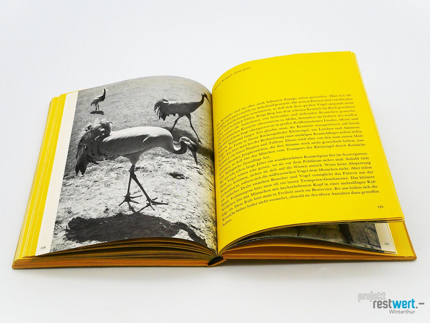 Livres: TIERE IM ZOO – D'occasion à Winterthur par Restwert_Winterthur 2