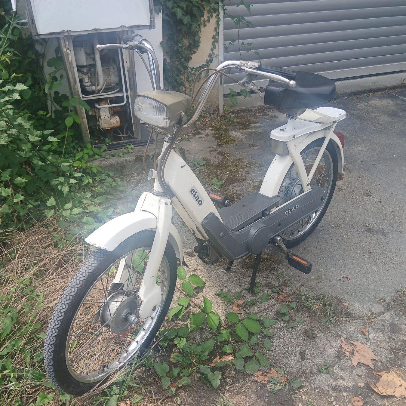 Piaggio Mofas: Mofa Piaggio Ciao PX mit Ausweis – Gebraucht aus Balsthal von redcarpet 3