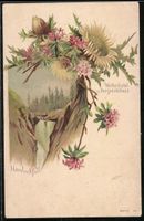 Handeckfall, Wetterdistel und Bergseidel
