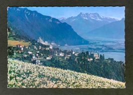 AK GLION s MONTREUX Les Dents du Midi
