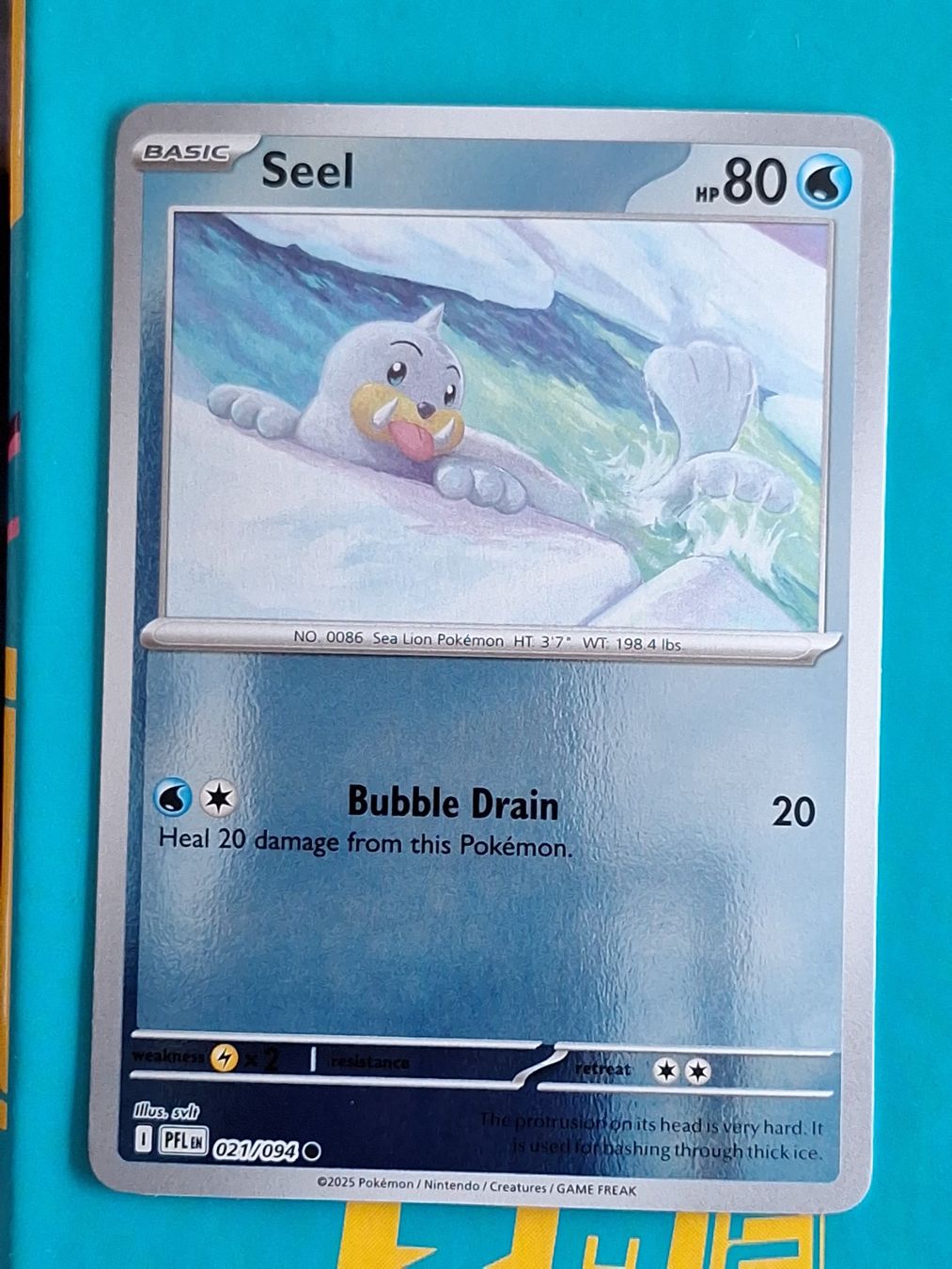 Pokémon Carte collezionabili: Seel - Reverse Holo - Pokemon Phantasmal Flames – Usato da Altstätten SG venduto da GGsGameshop