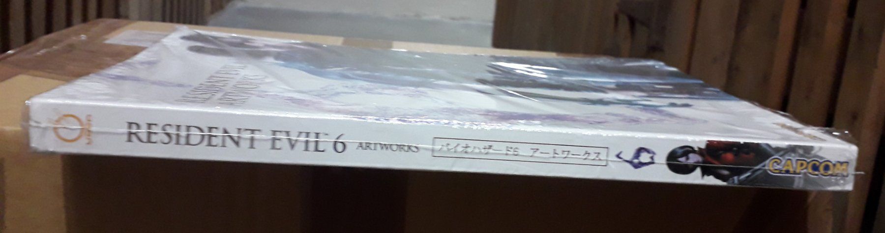 Bücher: Resident Evil 6 Artworks – Neu und originalverpackt aus Basel von QUER13 5