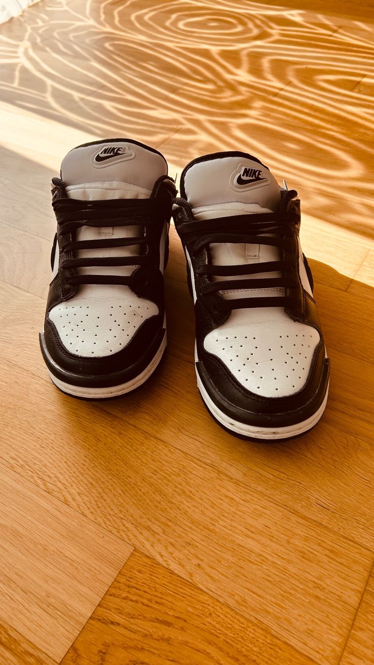 Nike Scarpe da uomo: Nike Dunk größe 40 – Nuovo (secondo la descrizione) da Pfäffikon ZH venduto da 03Blume 1