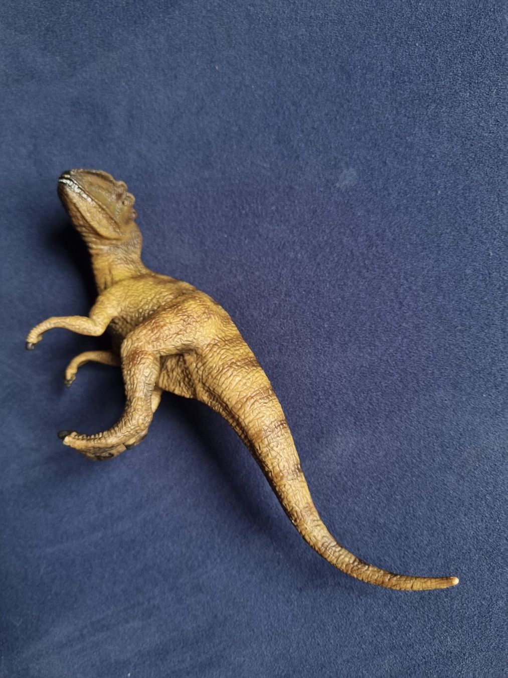 Schleich Statuette: Dinosaurer Schleich 4 Stk. – Usato da Schmitten FR venduto da giba11 4