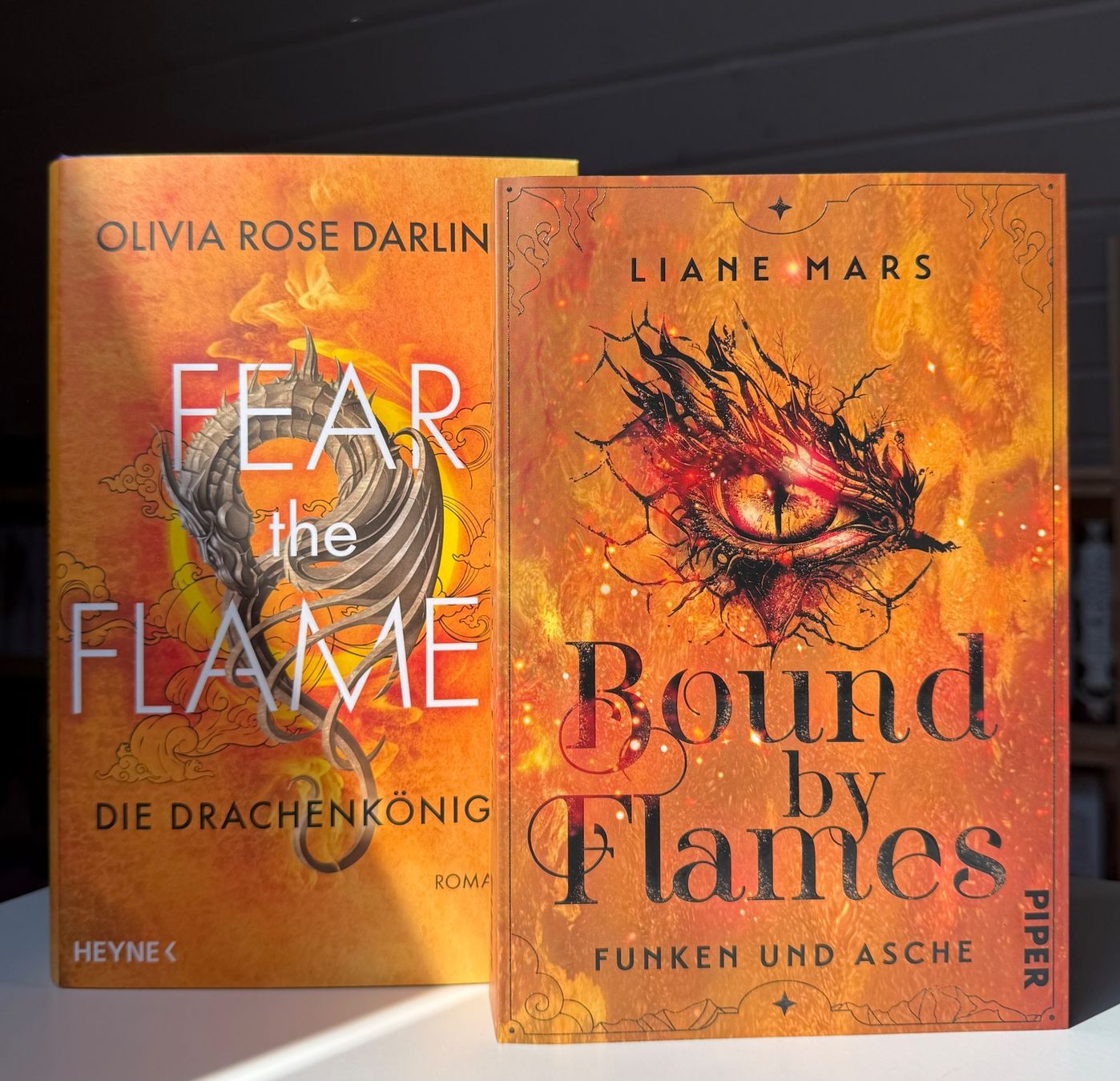 Bücher: Zwei Fantasy Romane "Fear the Flame" und "Bound by Flames" – Neu (gemäss Beschreibung) aus Eichberg von Lolapop18