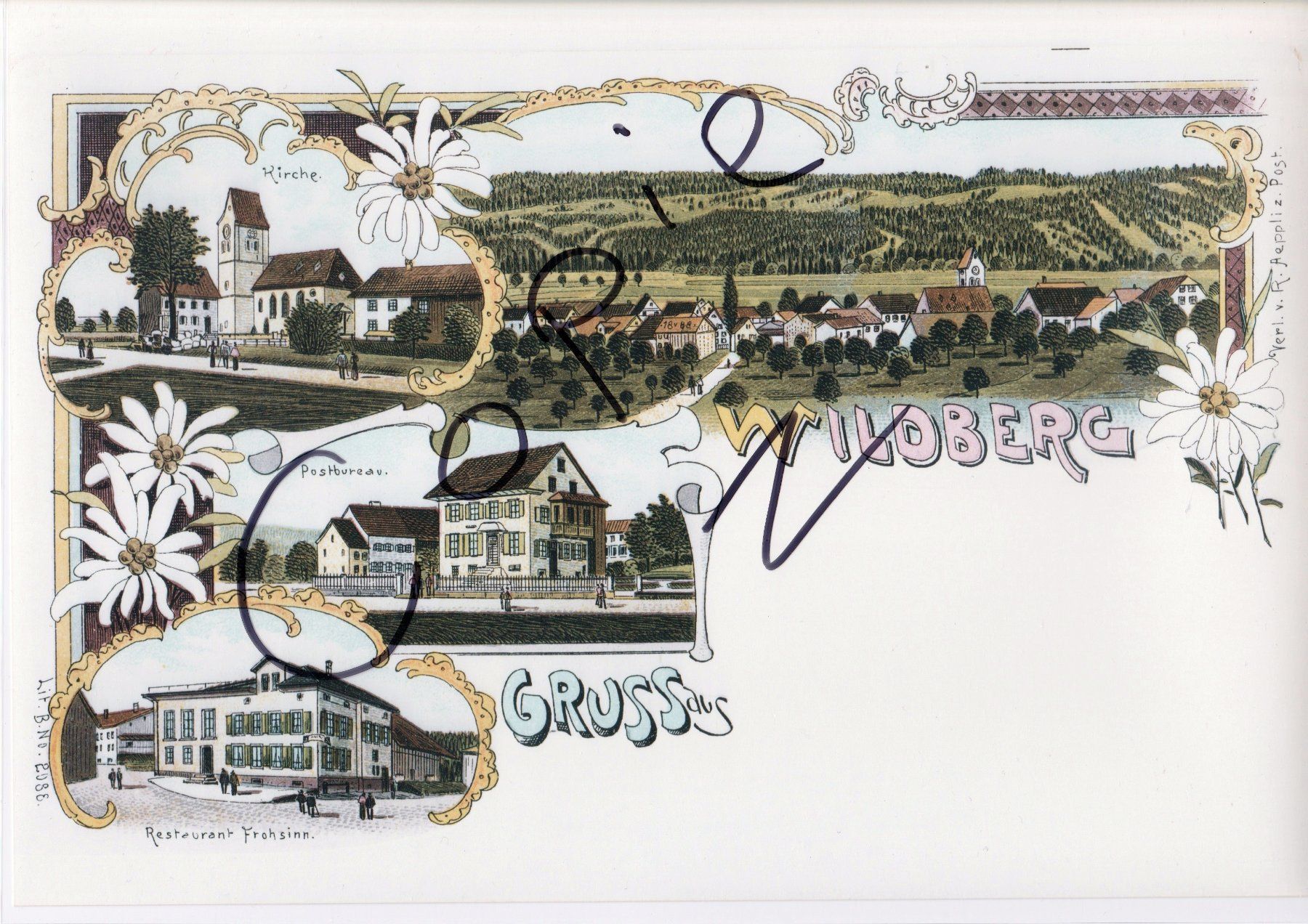 Cartoline postali: Gruss aus Wildberg  - (Litho-Ansicht um 1900) – Usato da Fällanden venduto da Blausegelfliege