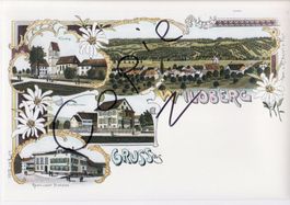 Gruss aus Wildberg  - (Litho-Ansicht um 1900)