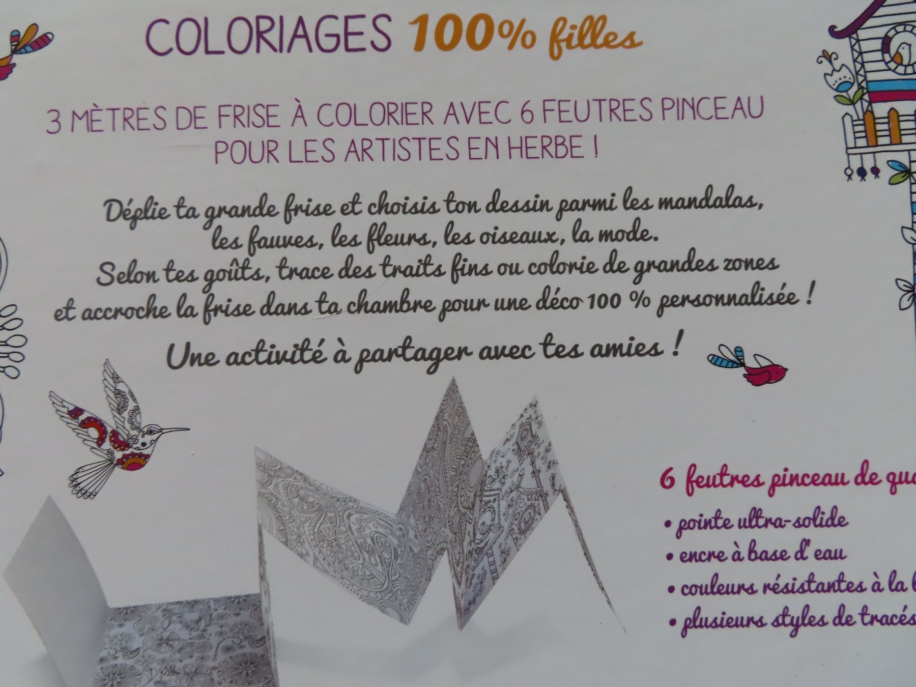 Bücher: Coloriages 100% filles – Gebraucht aus Wallenried von Asyano 2