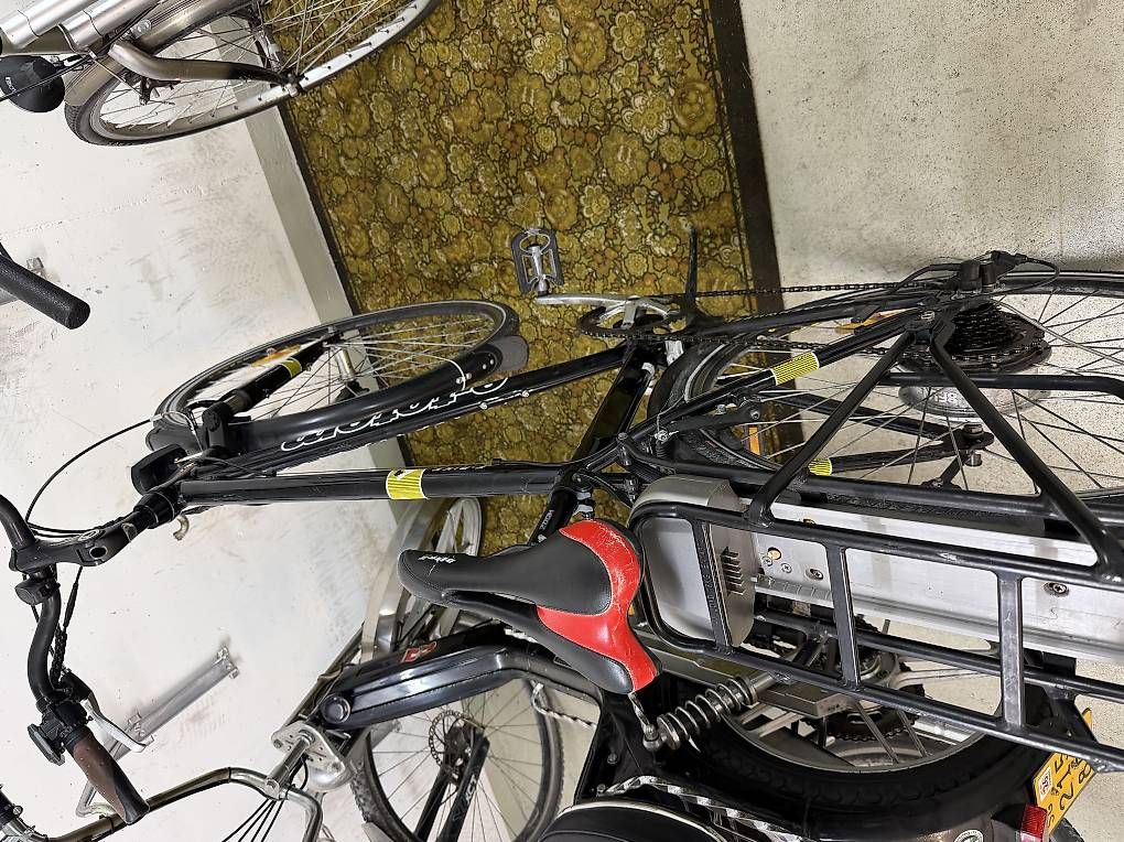 Biciclette: E bike  – Usato da Lüchingen venduto da qen_d99r 3