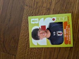 Panini Japan 9