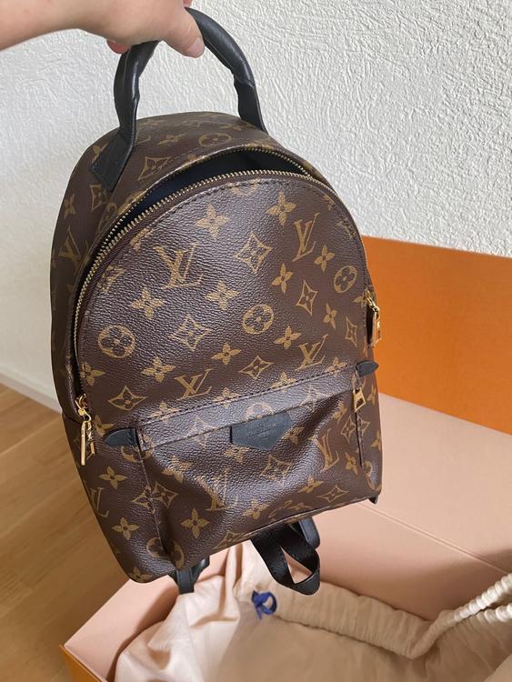 LOUIS VUITTON Damen Palm Springs Backpack aus Leder in Braun