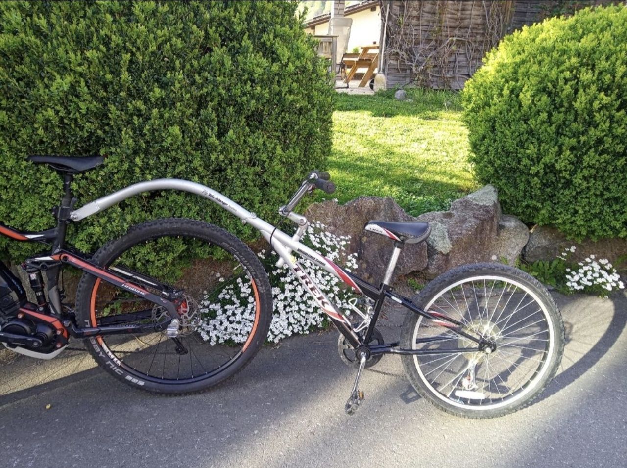 Trek Biciclette: Trek Schattenvelo 7 Gang – Usato da Schwarzenberg LU venduto da Ctinu 1