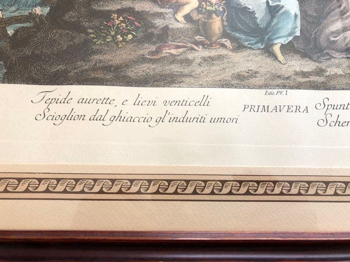 Foto & Immagini: BILD primavera kunstdruck – Usato da Herzogenbuchsee venduto da warrior77 4