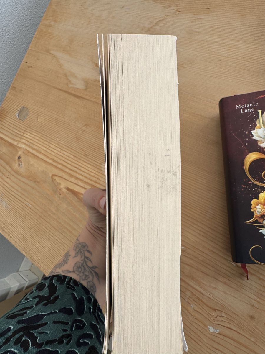 Libri: Infernalis Dilogie Band 1 und 2 – Usato da Bern venduto da Ynicat 2