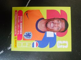 NED 6