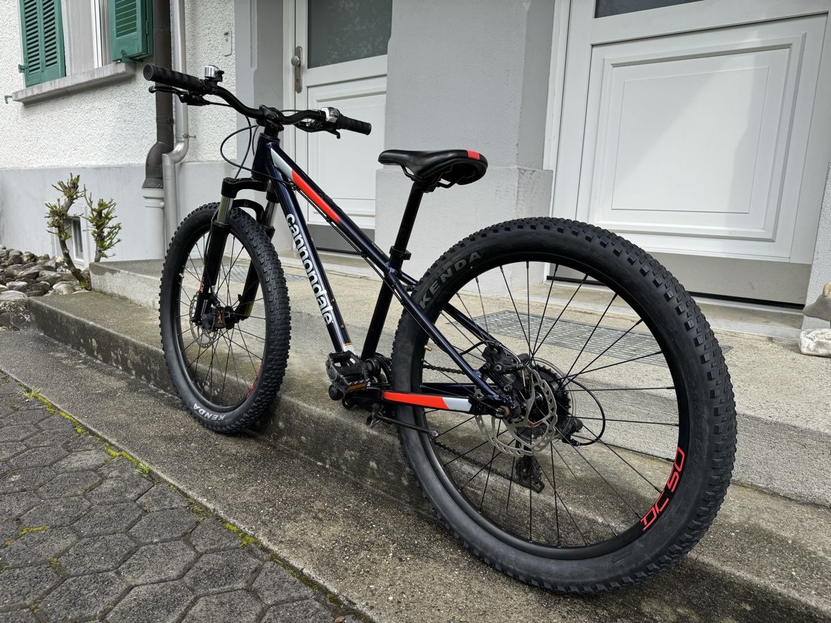 Cannondale Biciclette: Cannondale Trail 24 fat bike – Usato da Widnau venduto da Barbaros82 5