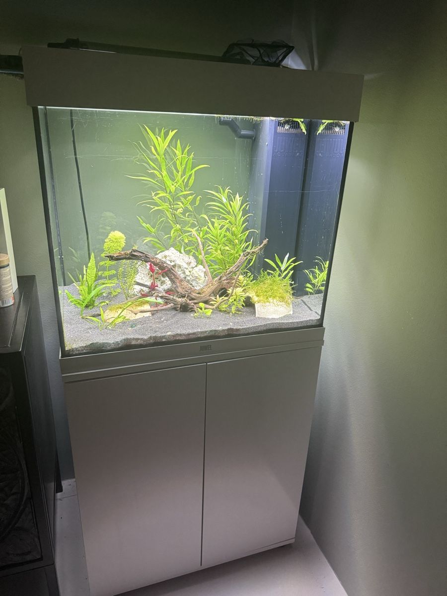 Acquari: Juwel Aquarium 120 Liter – Usato da Ottenbach venduto da tickorus 4