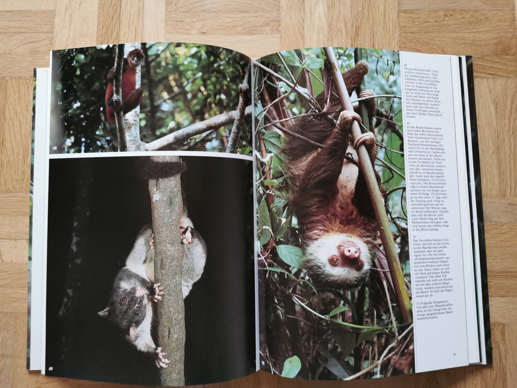 Libri: Leben im tropischen Regenwald – Usato da Stäfa venduto da flamingo_17 7